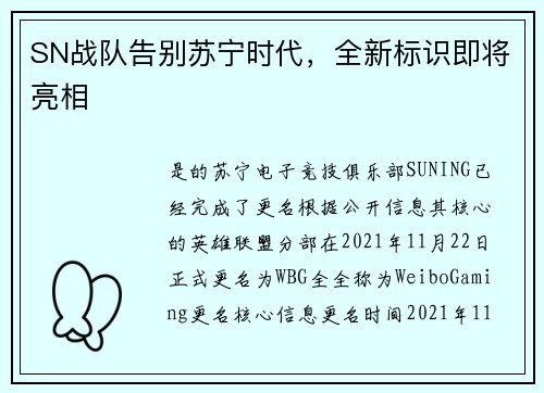 SN战队告别苏宁时代，全新标识即将亮相